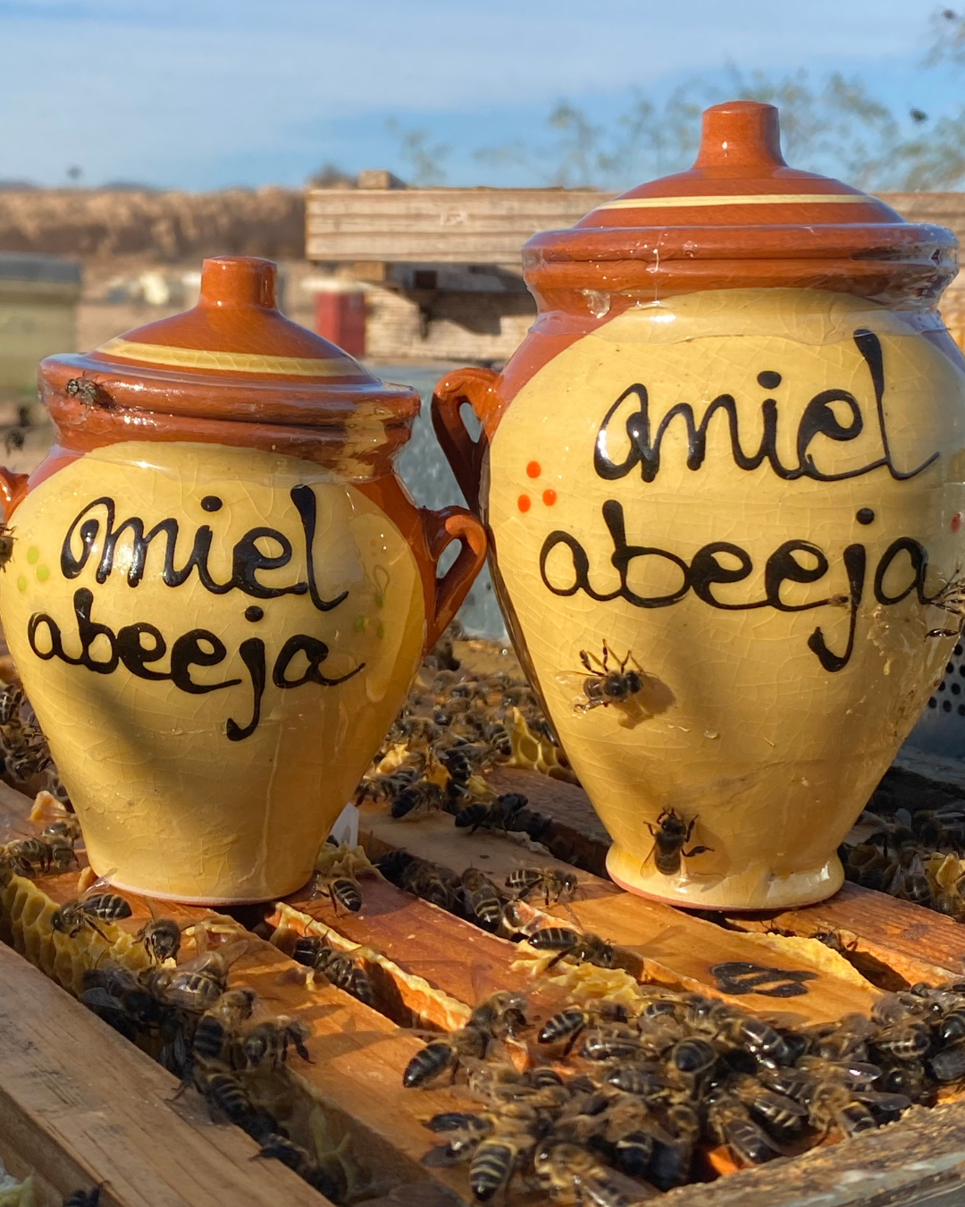 productos-de-la-colmena